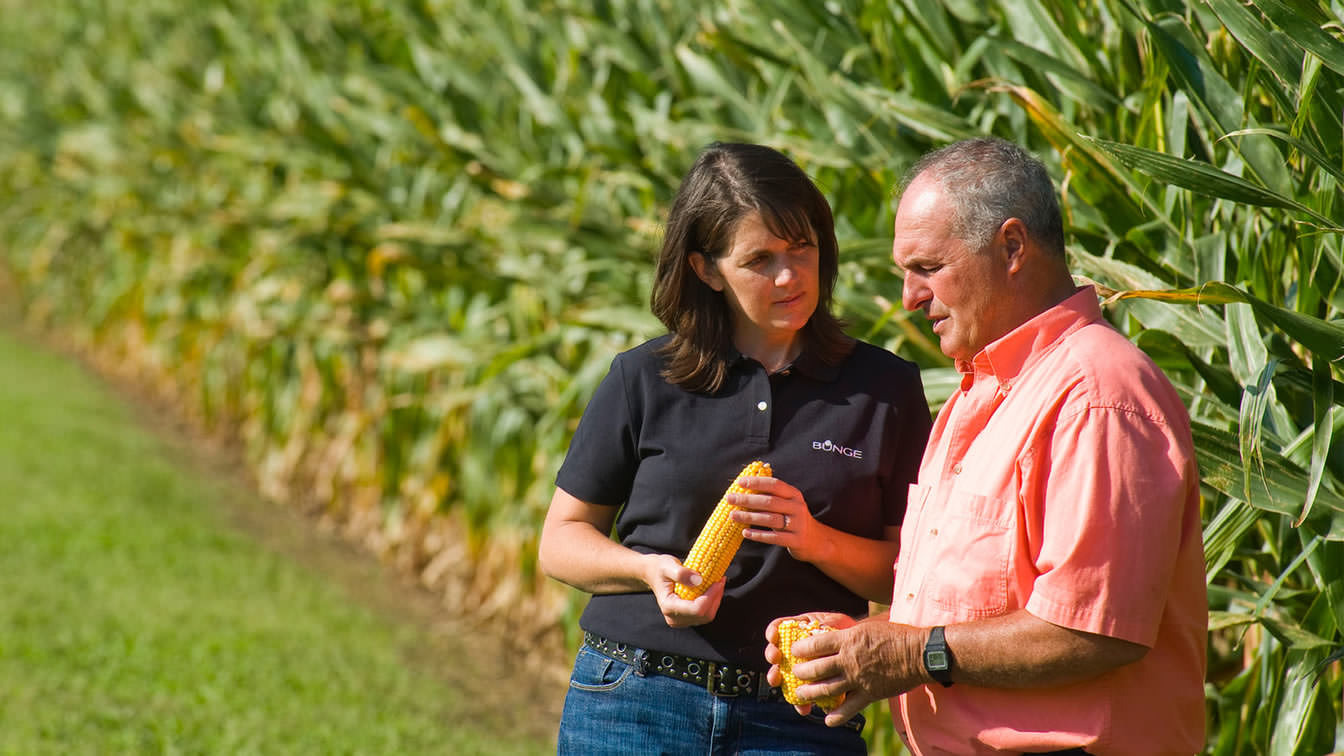 Bunge Services